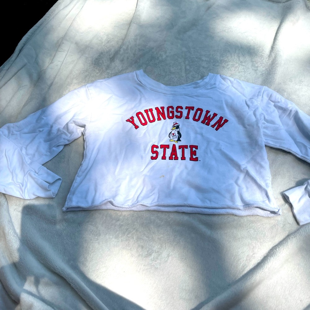 YSU crop hoodie